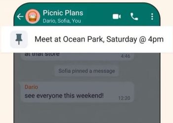 WhatsApp Mesaj Sabitleme