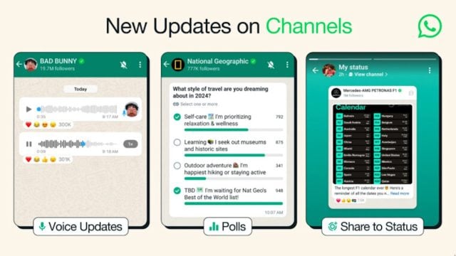 WhatsApp Channels Voice Survey Updates