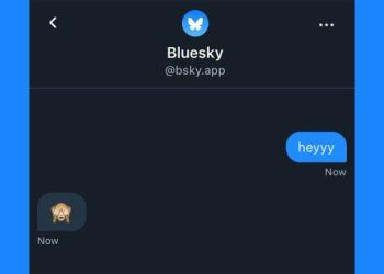 Bluesky Direkt Mesaj